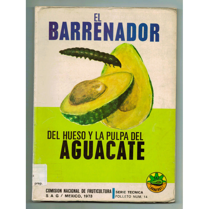 El Barrenador Del Hueso Y Pulpa Del Aguacate. Mexico 1973