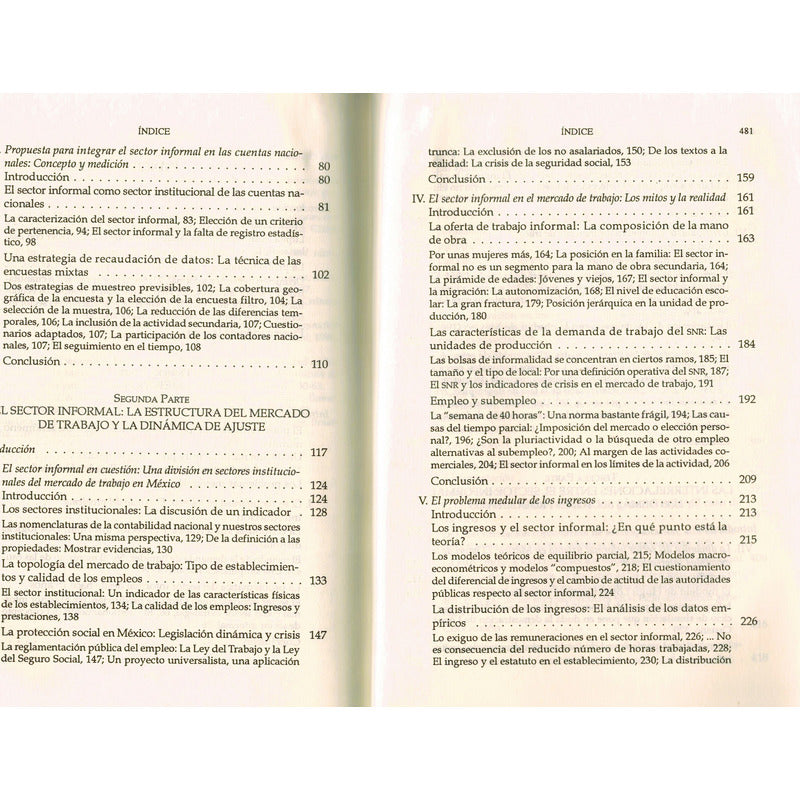 Economia Informal En Mexico. Francois Roubaud, Mexico 1995