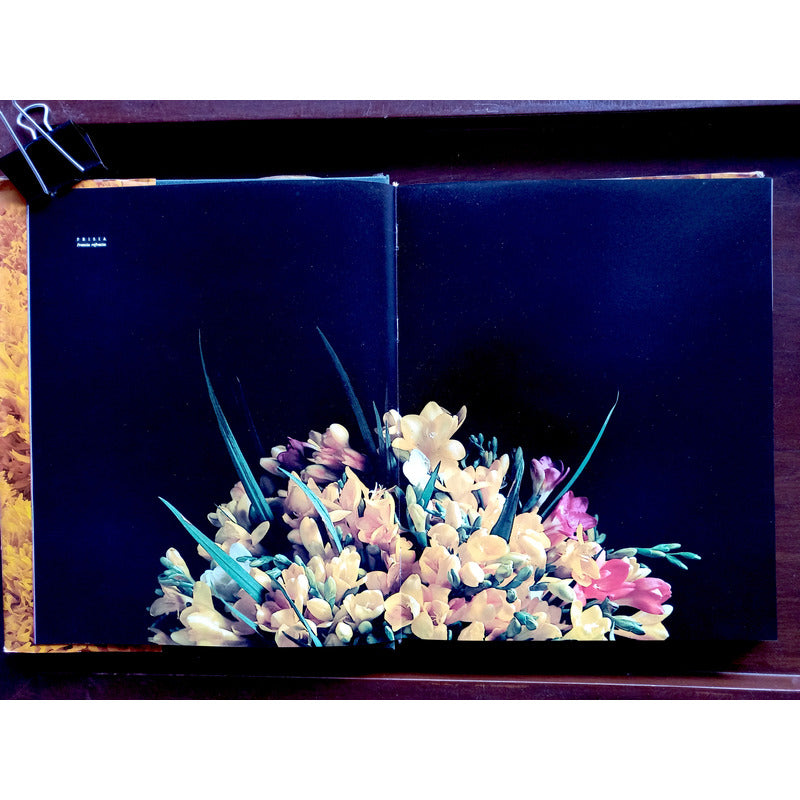 Flores En Mexico. Alfonso Valiente, Mexico 1992