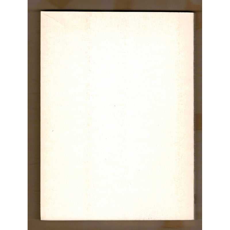 Portadas Churuguerescas De La Ciuda De Mexico. Vargas Lugo