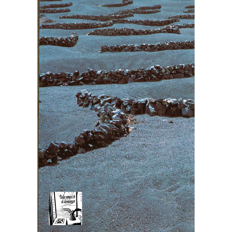 Lanzarote -relatos Y_fotos-. Michel Houellebecq, España 2000