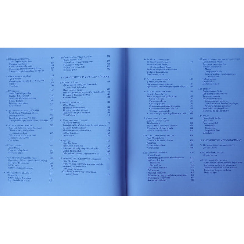 Ciudad_de Mexico_fin_del_segundo_milenio. Garza, Mexico 2000