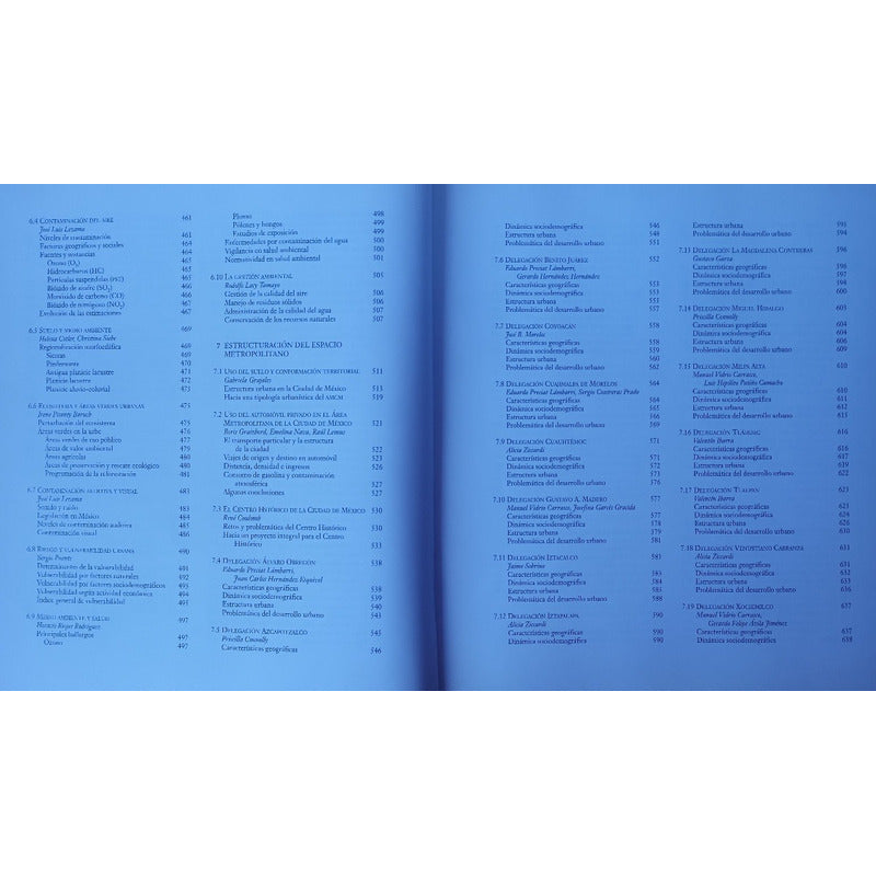 Ciudad_de Mexico_fin_del_segundo_milenio. Garza, Mexico 2000