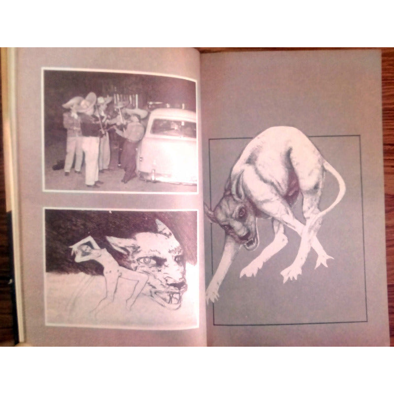 Compadre Lobo. Gustavo Sainz, Grijalbo Ed., 1975