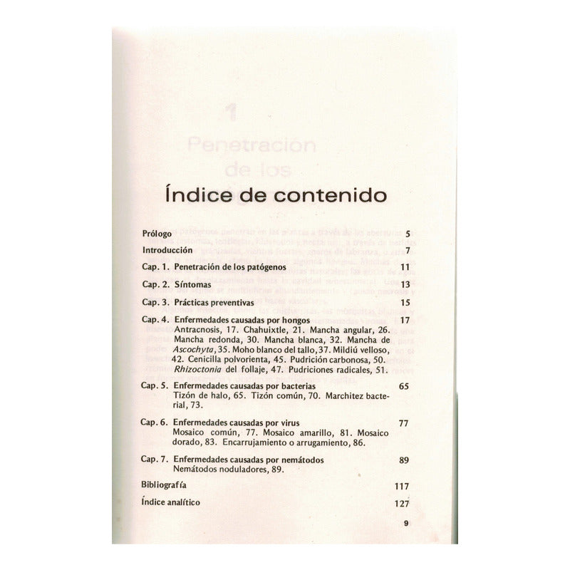 Enfermedades Del Frijol. Campos Avila, Mexico 1991