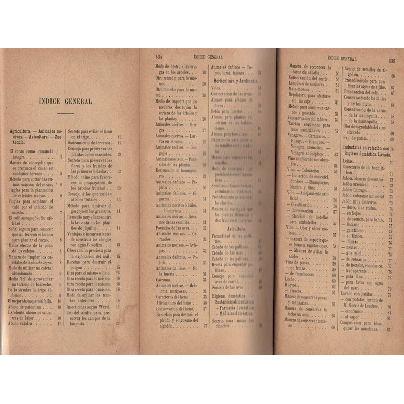 1001 Recetas Artes Y Oficios Paris1910 [formulario Practico]