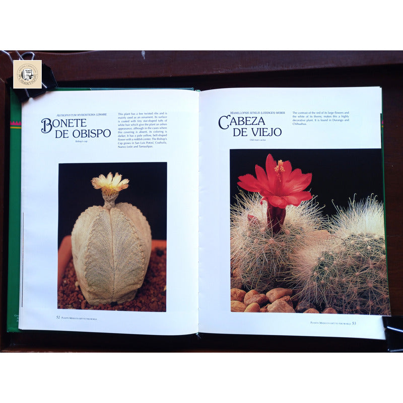 Mexico's Gift To The World Plants. Ana Jovane, Mexico 1994