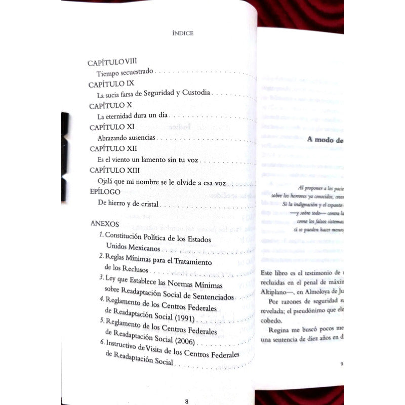 Los Secretos De Almoloya Corina Giacomello Testimonio