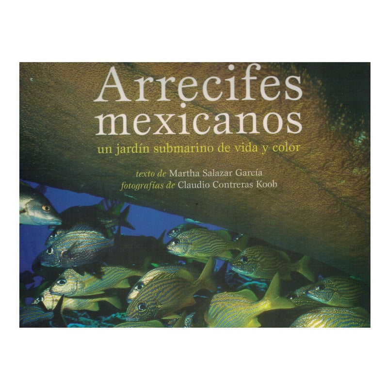 Arrecifes_mexicanos. Salazar Garcia, Mexico 2010