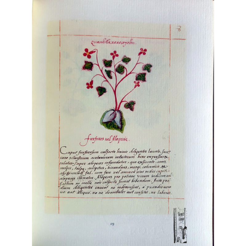 Codice De La Cruz Badiano. I M S S 1964 {herbolaria}