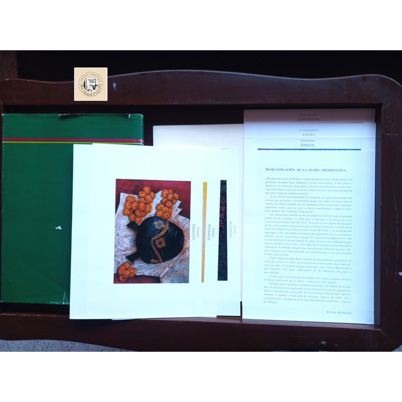 De Mexico Al Mundo: Plantas. Valles Septien, Mexico 1992