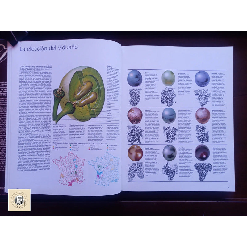 El Vino, Atlas Mundial. Hugh Johnson, España 1981