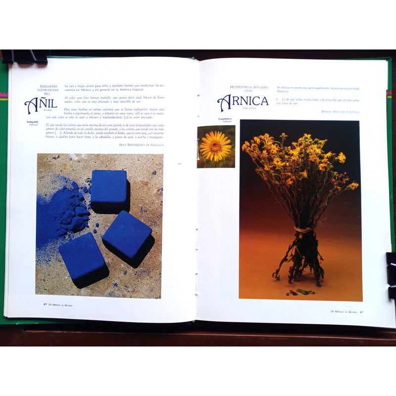 De Mexico Al Mundo: Plantas. Valles Septien, Mexico 1992