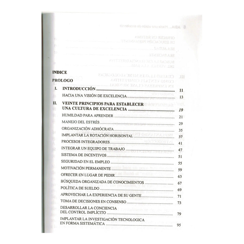 Una Vision De Excelencia, 24 Principios Miguel Angel Cornejo