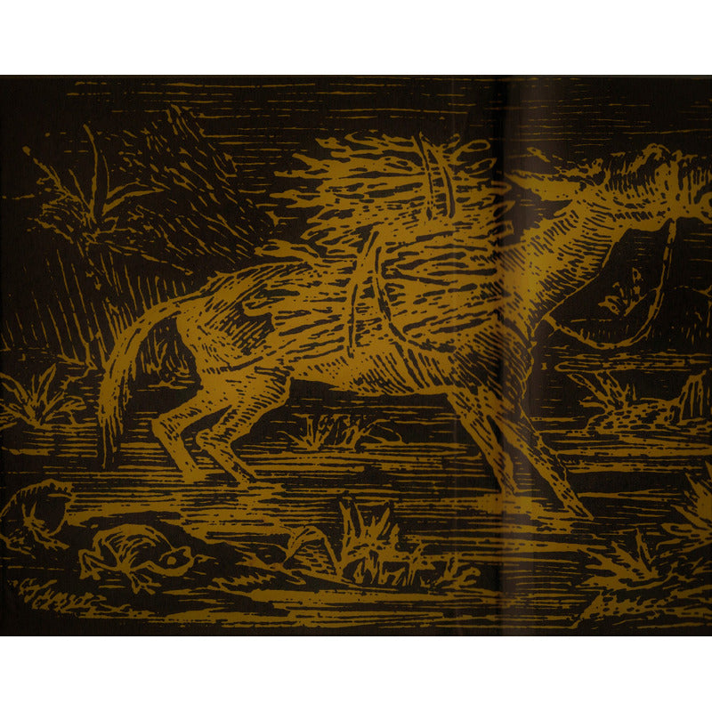 Fabulas [morales]. Felix Maria Samaniego, España 1972