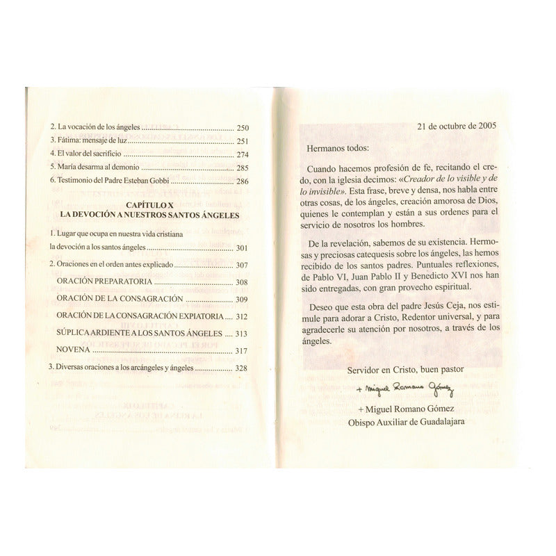 Verdad Sobre Angeles Y Demonios. Ceja Alvarez, Mexico 2007