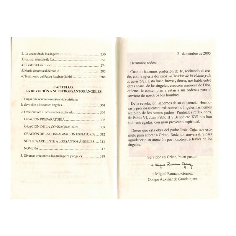 La Verdad Sobre Angeles Y Demonios Y Su Mision Ceja Alvarez