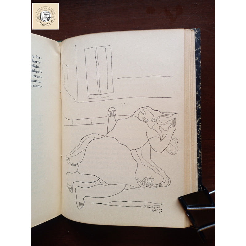 La Isla. Judith Martinez Ortega, Letras De Mexico 1938 Lgbt