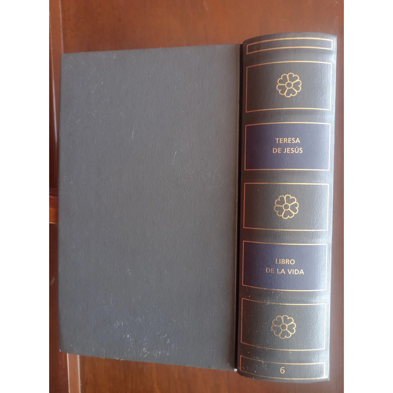 Teresa De Jesus: Libro D La Vida Biblioteca Clasica Castalia