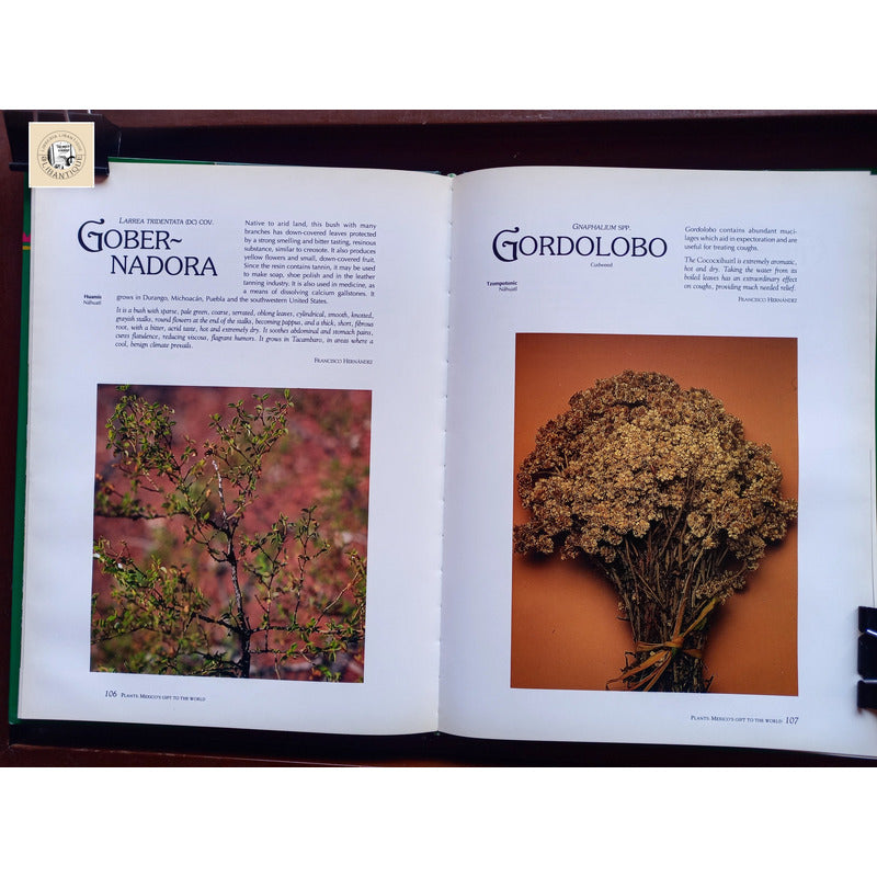 Mexico's Gift To The World Plants. Ana Jovane, Mexico 1994