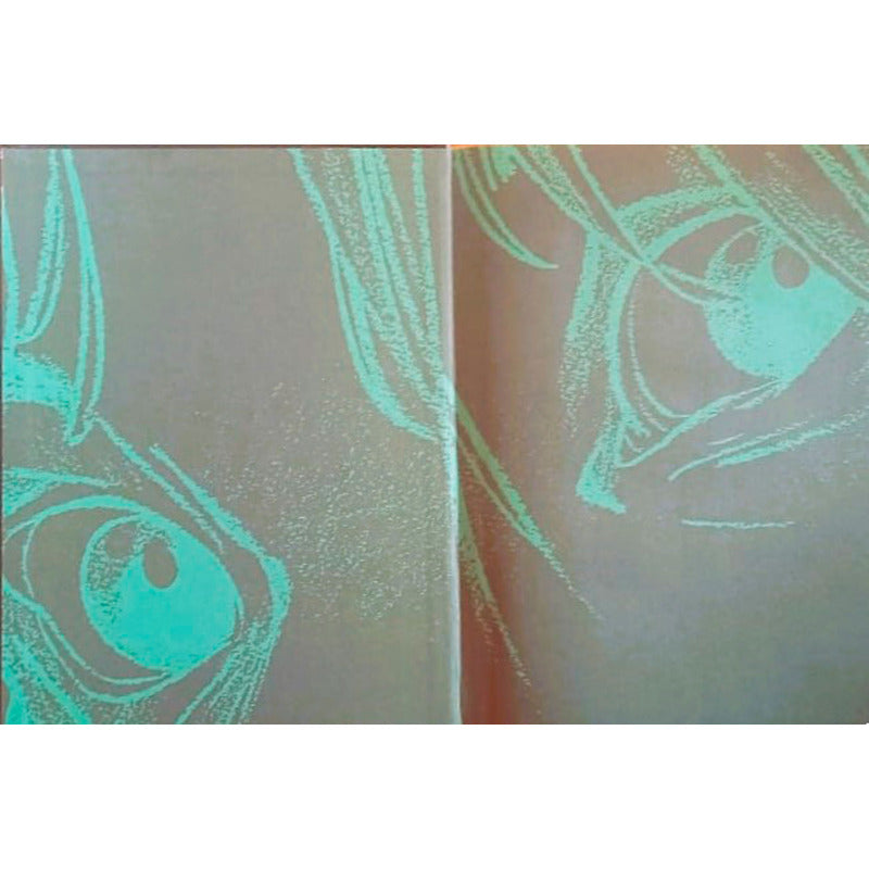 Peter Pan. Regis Loisel España 2009 Edicion De Lujo(6 Album)