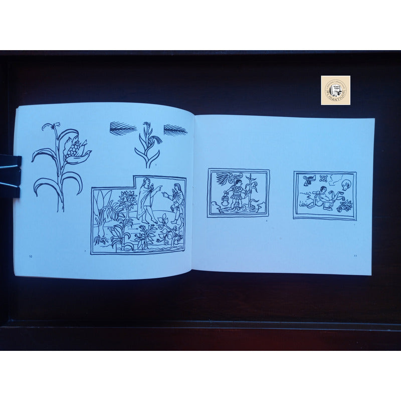 Antiguas Representaciones Del Maiz Mariano Lopez Mexico 1982