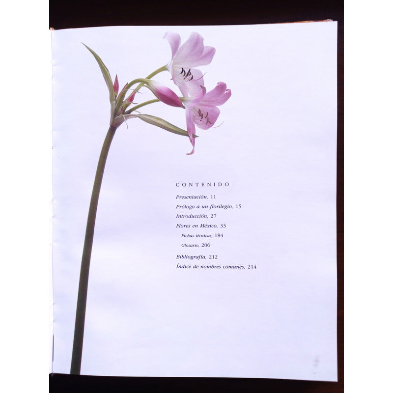 Flores En Mexico. Alfonso Valiente, Mexico 1992