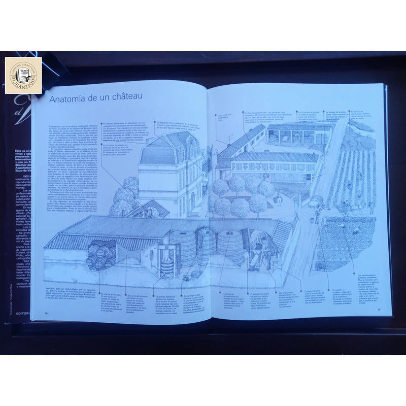 El Vino, Atlas Mundial. Hugh Johnson, España 1981