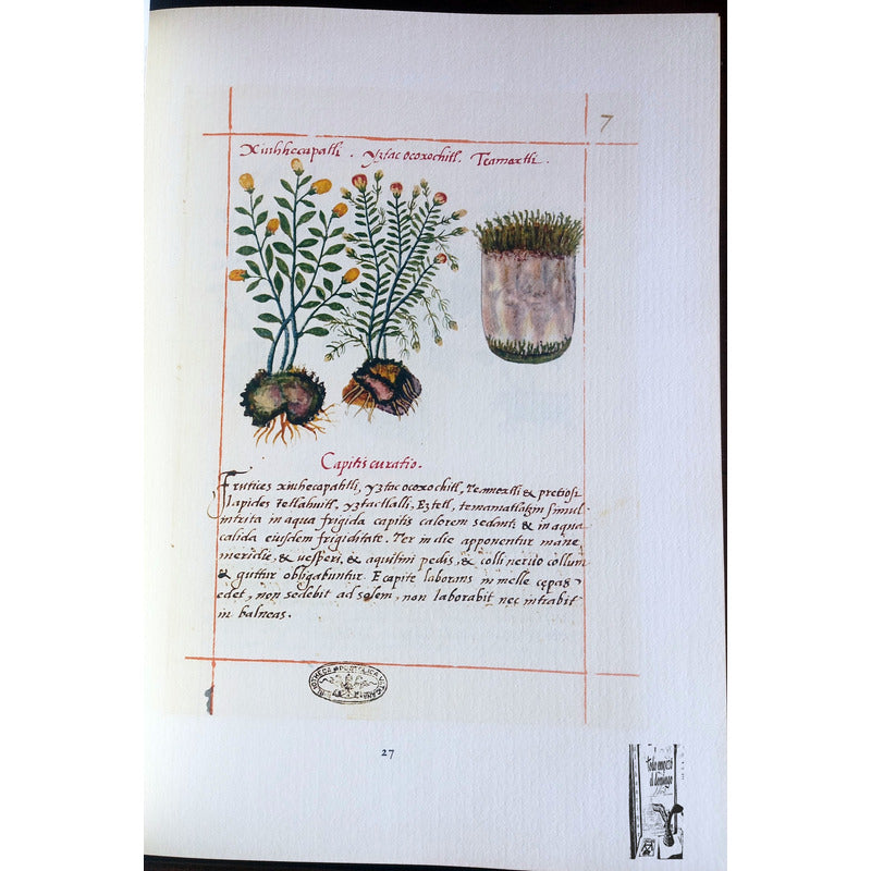 Codice De La Cruz Badiano. I M S S 1964 {herbolaria}