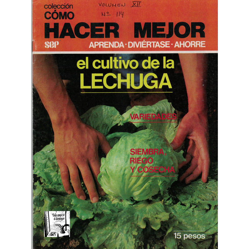 Como Hacer: Cultivo De Lechuga, Variedades, Cultivo, Cosecha