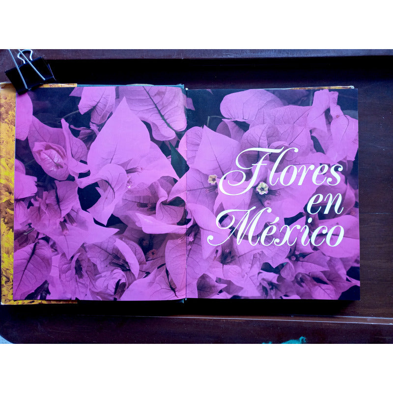 Flores En Mexico. Alfonso Valiente, Mexico 1992