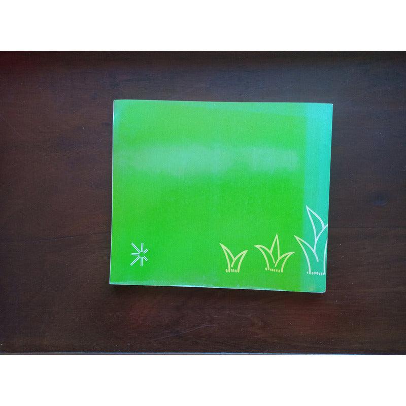 Antiguas Representaciones Del Maiz Mariano Lopez Mexico 1982