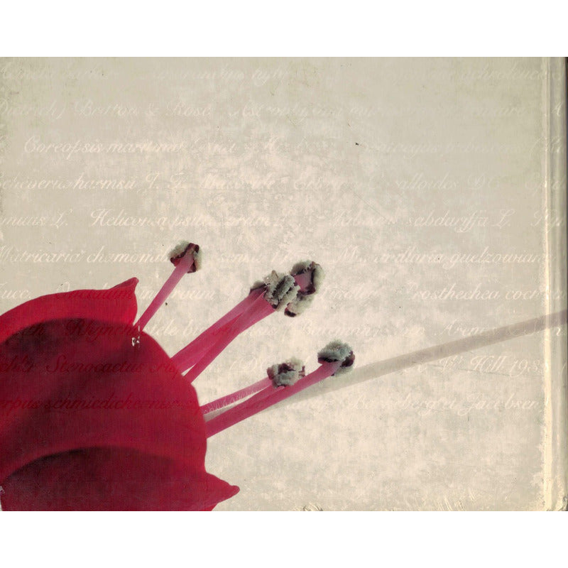 Mexico, Aroma Y Color. [ Plantas Vasulares] 2006