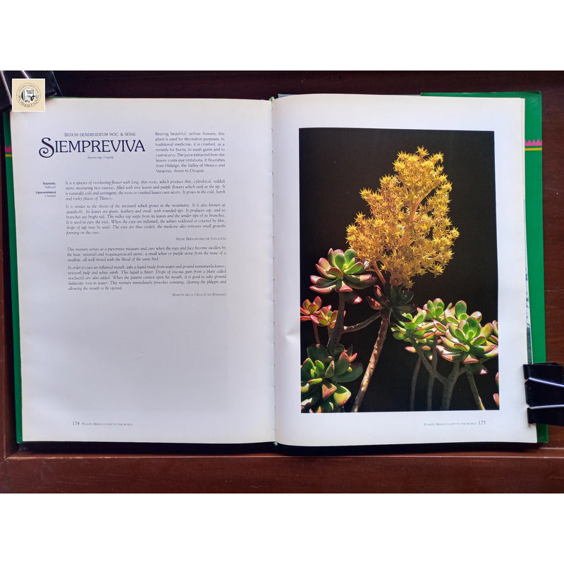 Mexico's Gift To The World Plants. Ana Jovane, Mexico 1994