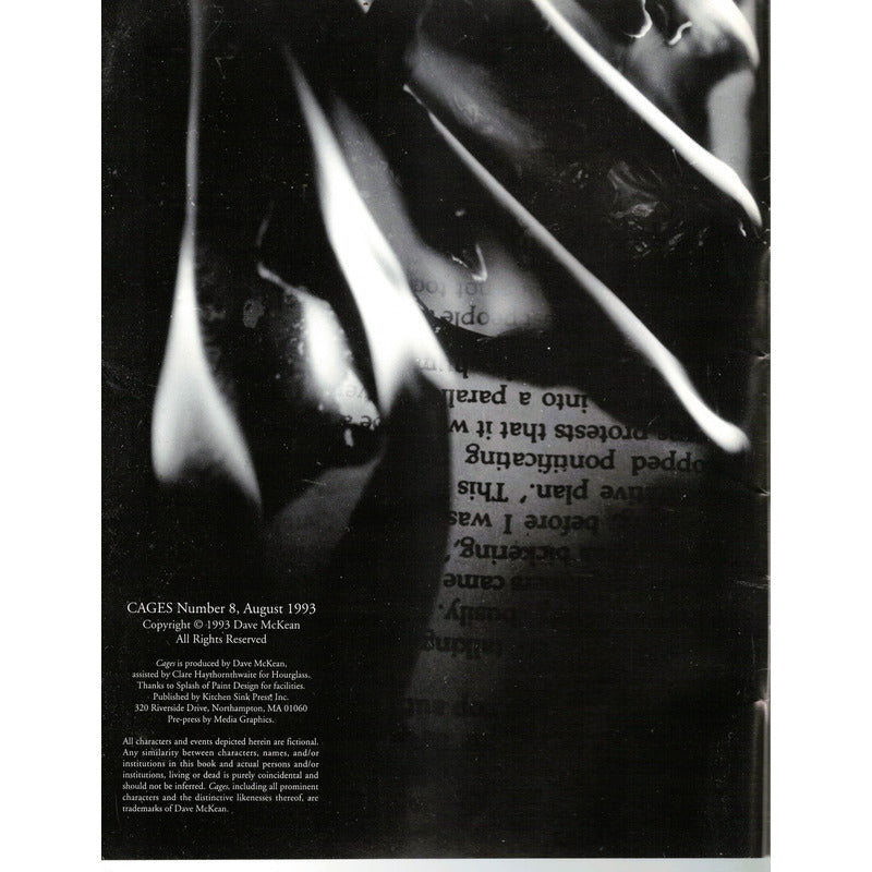 Cages # 8. David Mckean, U S 1993