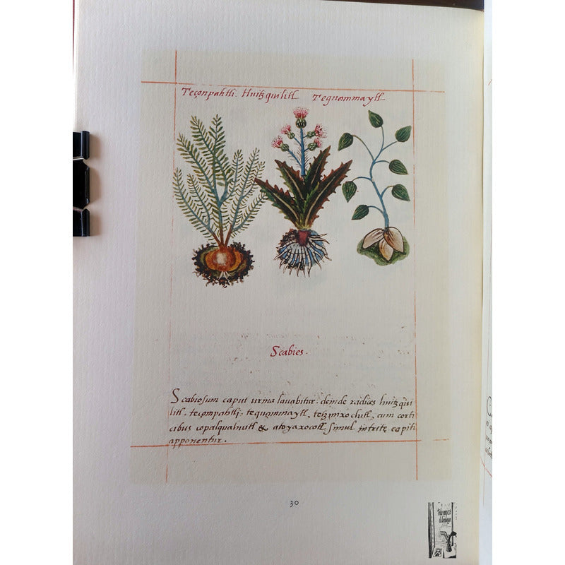 Codice De La Cruz Badiano. I M S S 1964 {herbolaria}