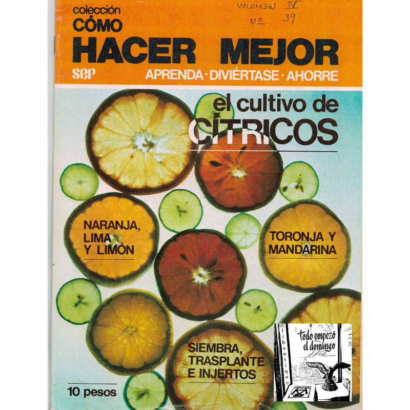 Como Hacer: Cultivo De Citricos, Siembra, Trasplante.