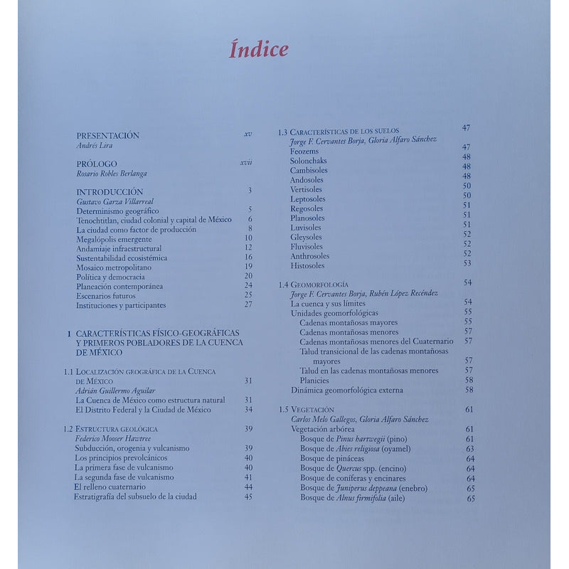 Ciudad_de Mexico_fin_del_segundo_milenio. Garza, Mexico 2000