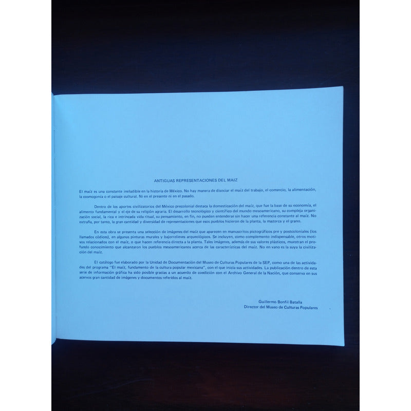 Antiguas Representaciones Del Maiz Mariano Lopez Mexico 1982