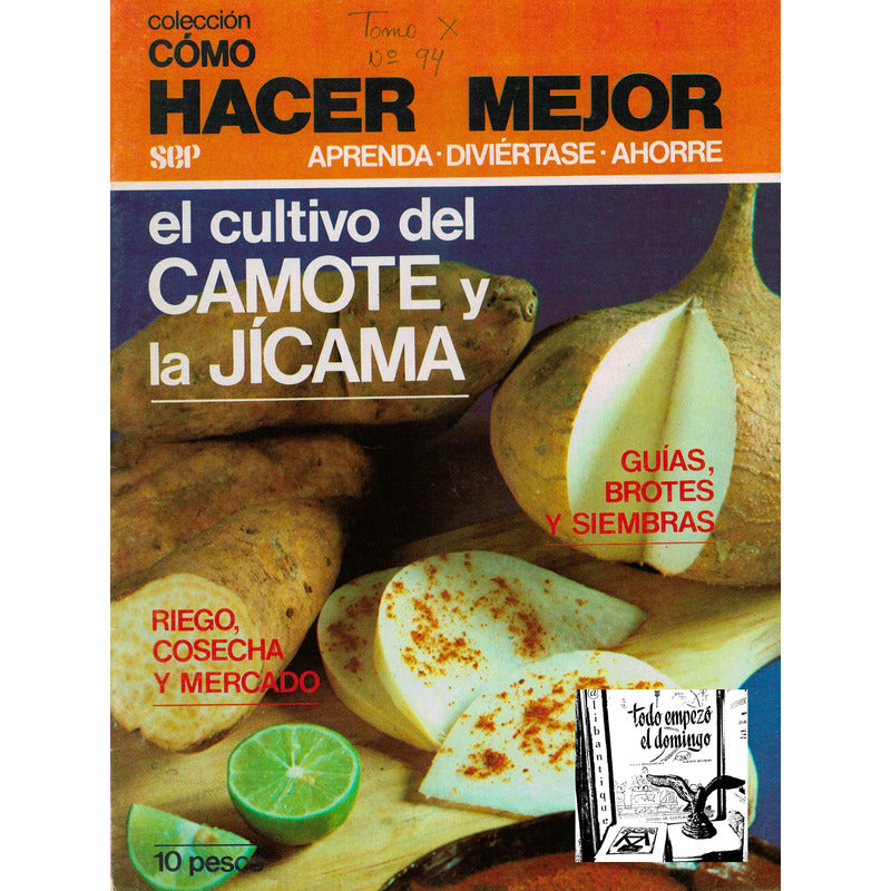 Como Hacer: Cultivo Del Camote Y La Jicama, Brotes, Riego.