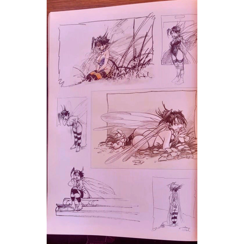 Peter Pan. Regis Loisel España 2009 Edicion De Lujo(6 Album)