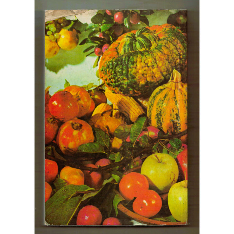 La Gran Cocina Vegtariana Letizia Angelucci Mexico 1975 (1a)