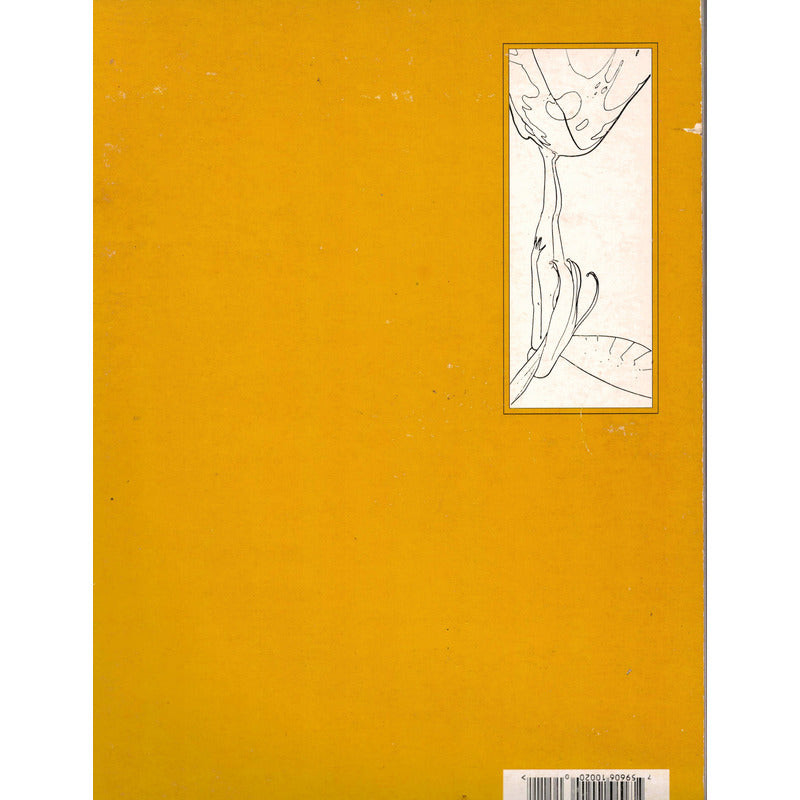 Moebius # 9: Stel, (epic Graphic Novel) U S 1994