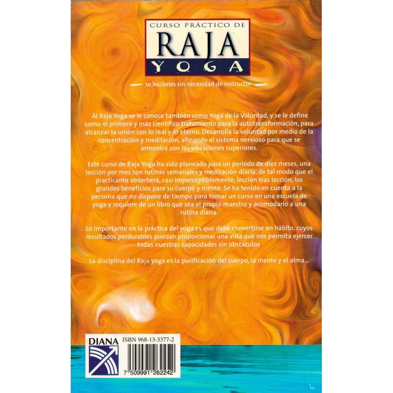 Curso Practico Raja Yoga. Slater, Mexico 2001