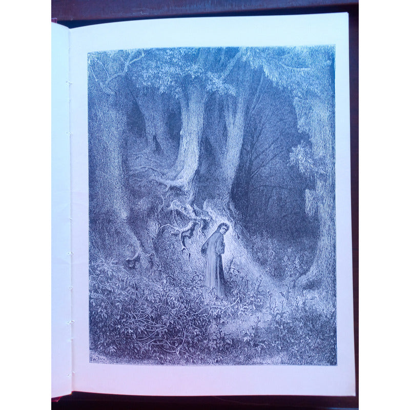 La Divina Comedia. 2 Vol, Mexico 1978, Ilustra Gustavo Dore