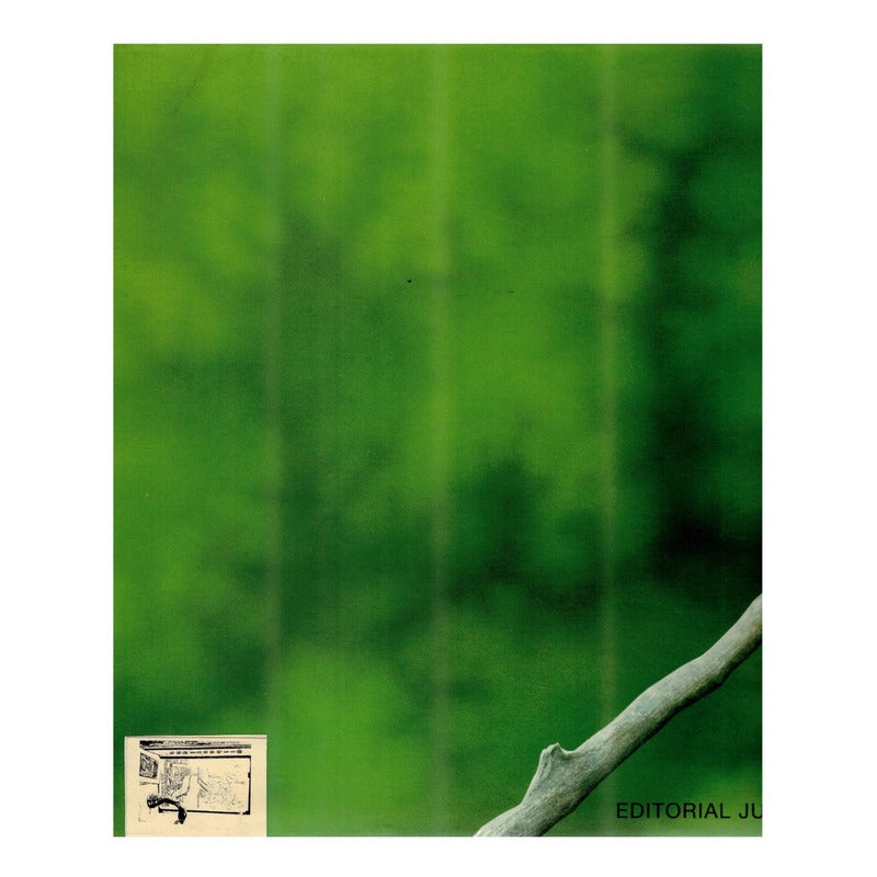 Verdi -vivarium-. Janell Cannon (infantil, Ed De Lujo)