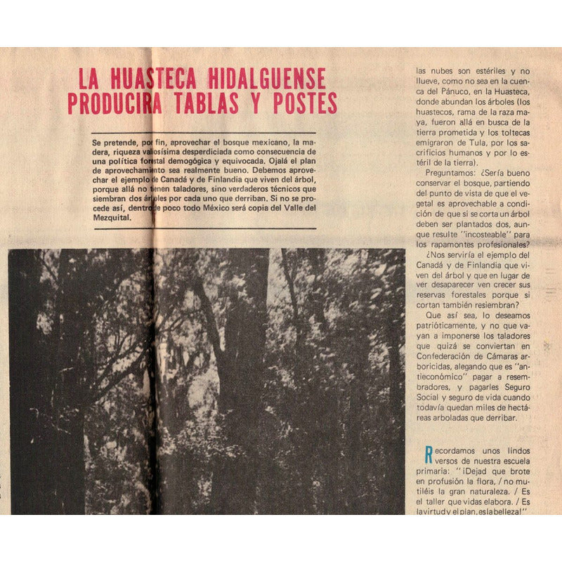 Virrey Del D. F. [supermachos #705] 1979