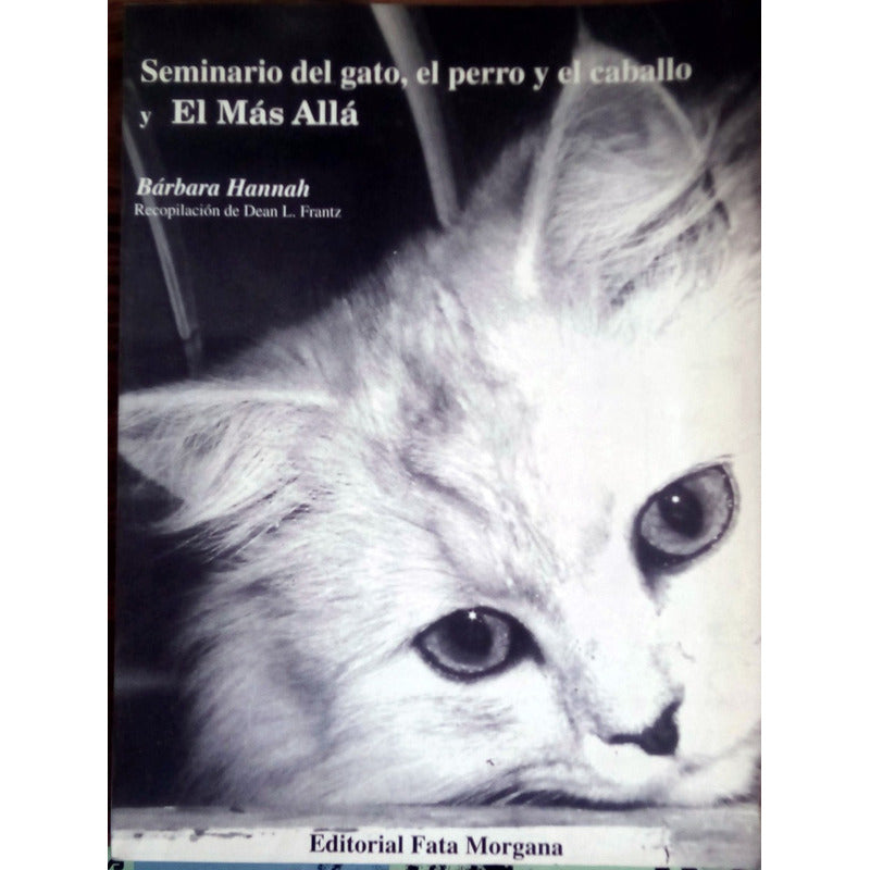 Seminario Del Gato Perro Caballo El Mas Alla, Fata Morga2000