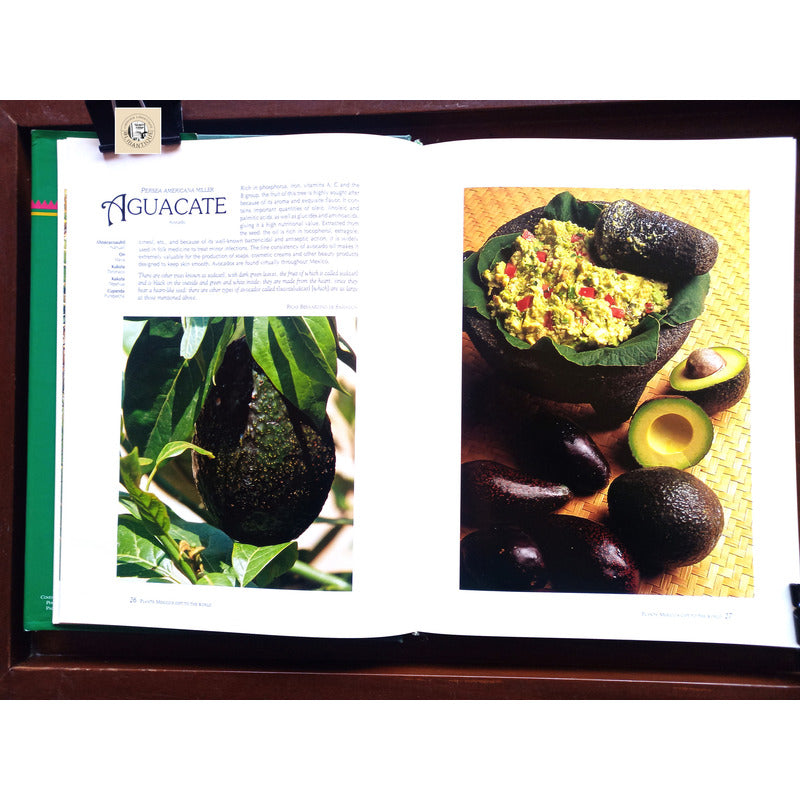 Mexico's Gift To The World Plants. Ana Jovane, Mexico 1994