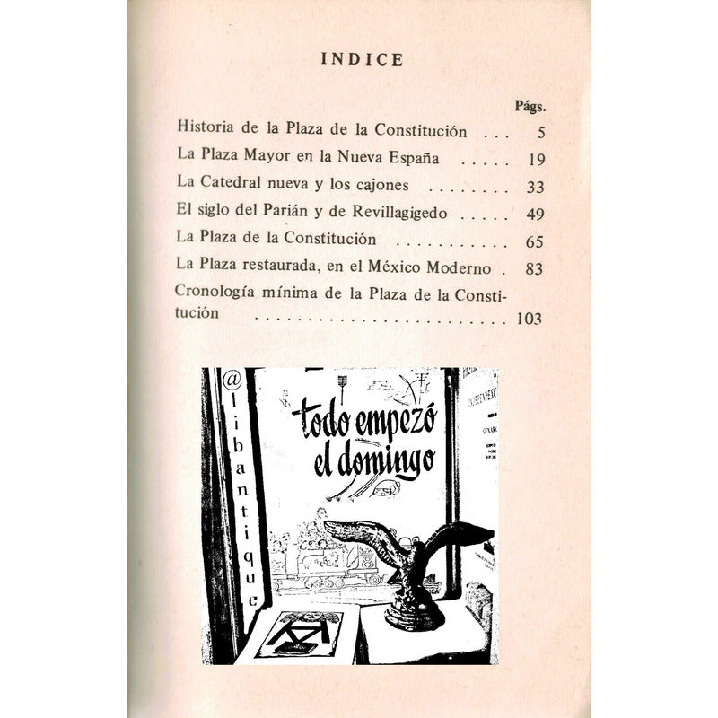 Historia De La Plaza De La Constitucion. Garcia Cortes, 1974